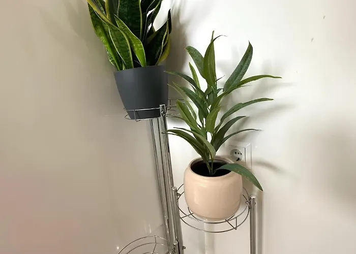 By The Sea - 24250 アパート